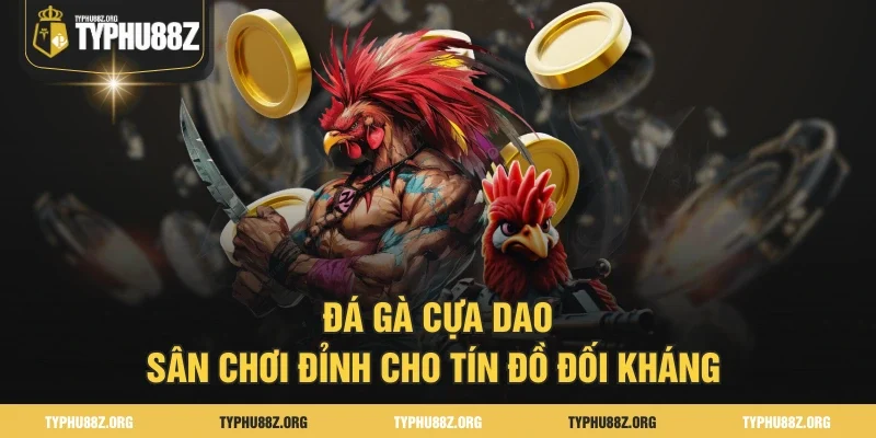 Đá Gà Cựa Dao - Sân Chơi Đỉnh Cho Tín Đồ Đối Kháng 