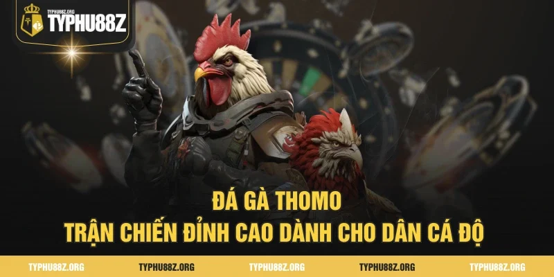 Đá Gà Thomo – Trận Chiến Đỉnh Cao Dành Cho Dân Cá Độ 